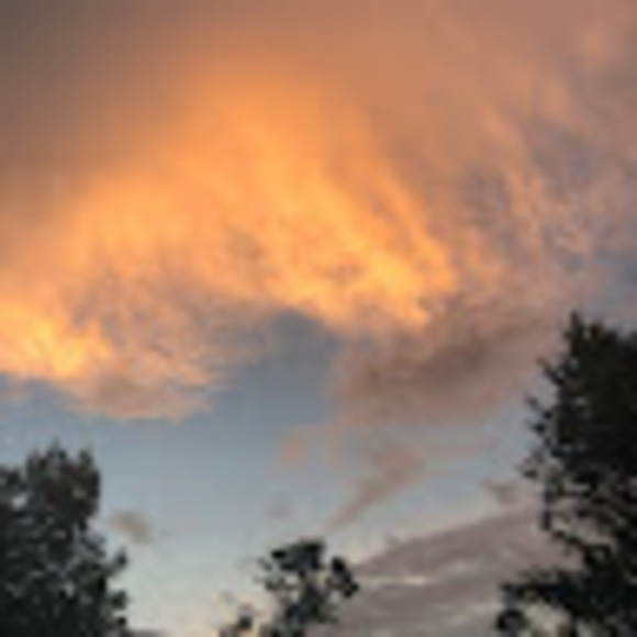 Meet your Posher, Ashley - Picture 1 of 1